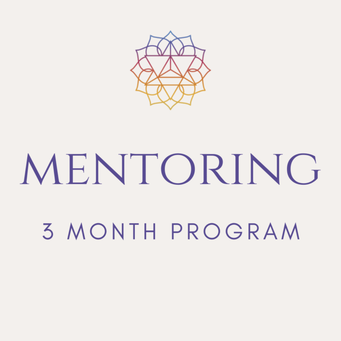 Mentoring (3 Month Program)